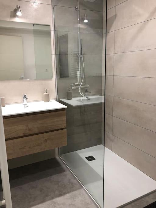 Appartement Moderne & Lumineux 40M2 Centre Luxeuil Экстерьер фото