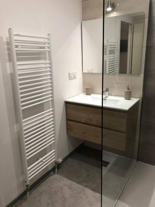 Appartement Moderne & Lumineux 40M2 Centre Luxeuil Экстерьер фото
